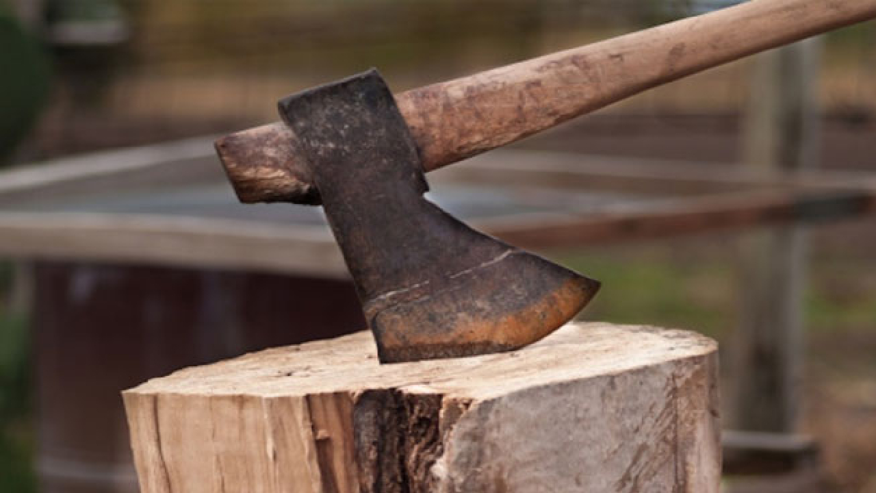 Sagar में बेटे ने Cycle खरीदने की जिद की, तो पिता ने बेटे की कुल्हाड़ी मारकर ली जान!