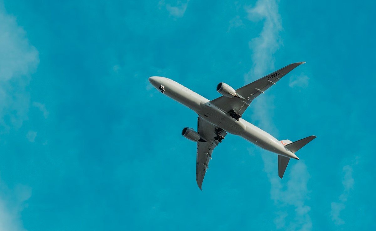 New Zealand Couple Demand Fare Refund After Being Seated Next To Farting Dog On Flight