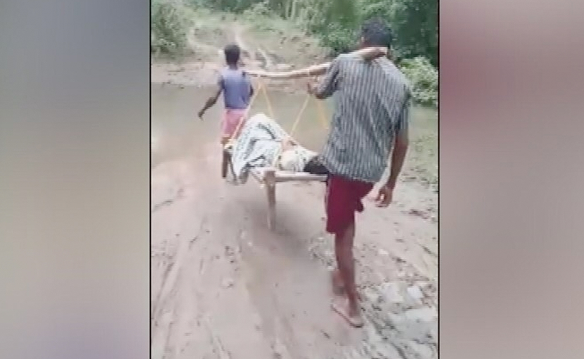 No Road, Pregnant Telangana Woman Carried To Hospital In 'Doli'