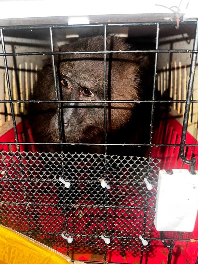 Latest and Breaking News on NDTV Latest and Breaking News on NDTV