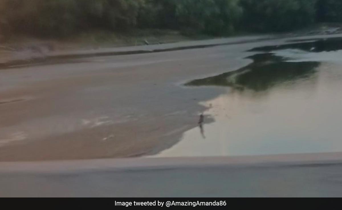 Water Level In Mississippi River Plummets For Second Consecutive Year