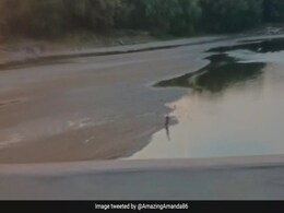 Water Level In Mississippi River Plummets For Second Consecutive Year Water Level In Mississippi River Plummets For Second Consecutive Year