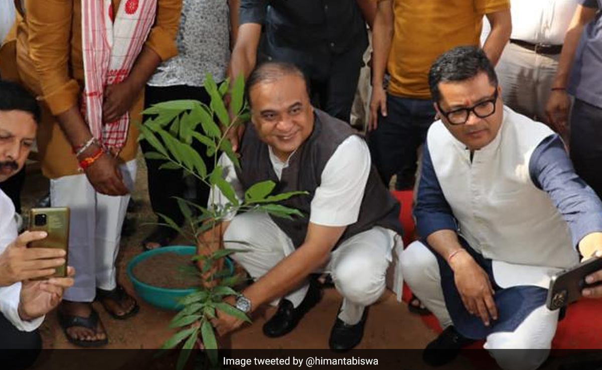 On PM's Birthday, Assam Plants 1 Crore Saplings, Attempts New World Record