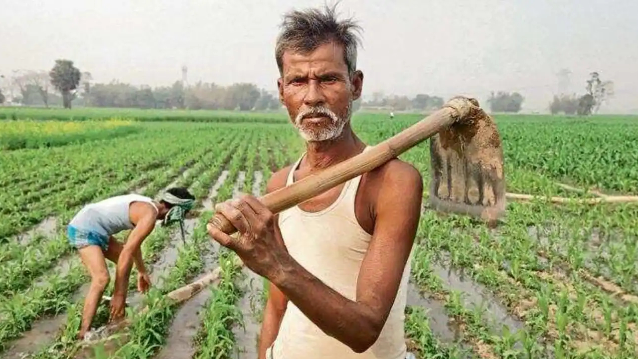 Rajasthan के किसानों के लिए अच्छी खबर, फसल खराब होनें पर CM Gehlot ने मुआवजा का किया ऐलान