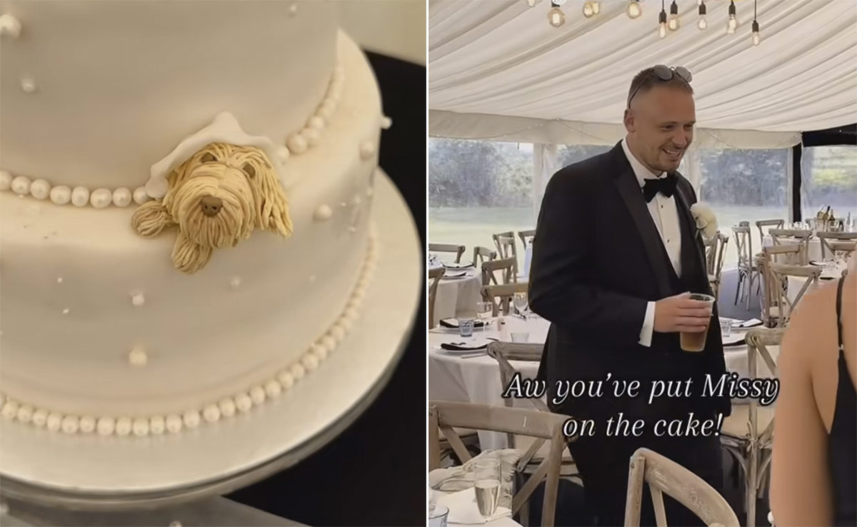 Watch: Groom's Reaction On Finding His Dog Depicted On Wedding Cake Will Make Your Day