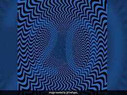 तस्वीर में छिपा है खास अंक, लोगों को खोजने में हो रही परेशानी, पहचानने वाले कहलाएंगे जीनियस तस्वीर में छिपा है खास अंक, लोगों को खोजने में हो रही परेशानी, पहचानने वाले कहलाएंगे जीनियस