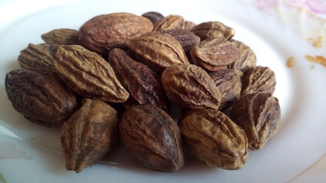 Haritaki is traditionally used to support cognitive function and overall brain health