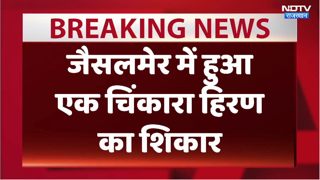 जैसलमेर में चिंकारा हिरण का शिकार । दो युवकों को हिरासत में लिया गया