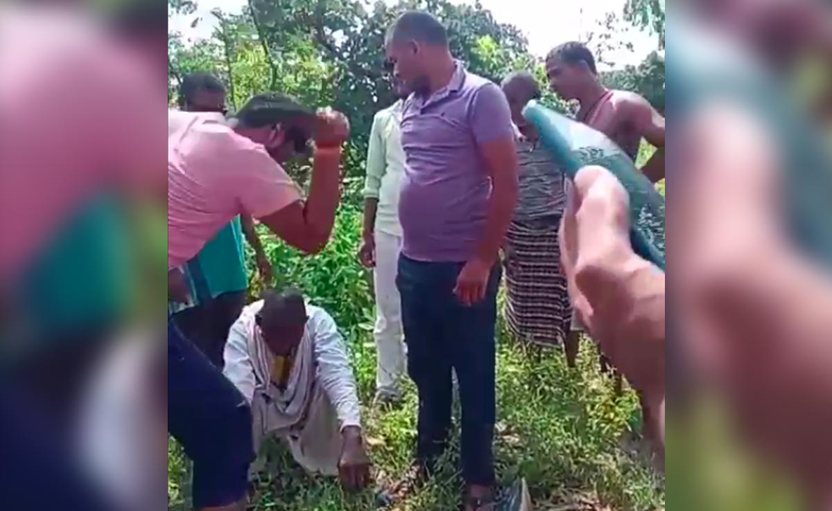 Video Of BJP Leader Assaulting Tribal Man Sparks Row In Madhya Pradesh
