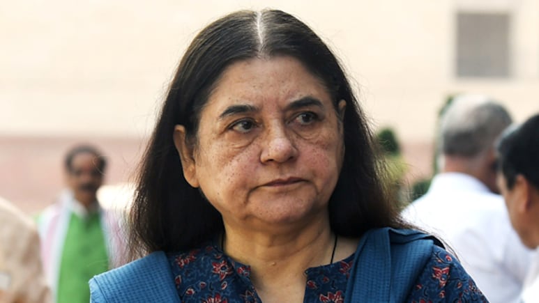 MCD के अधिकारियों को जेल होनी चाहिए: विदेशी कोचों के कुत्ते से काटे जाने पर मेनका गांधी का बयान