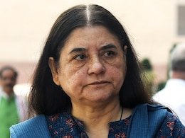 MCD के अधिकारियों को जेल होनी चाहिए: विदेशी कोचों के कुत्ते से काटे जाने पर मेनका गांधी का बयान MCD के अधिकारियों को जेल होनी चाहिए: विदेशी कोचों के कुत्ते से काटे जाने पर मेनका गांधी का बयान
