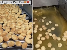 फैक्ट्री में कैसे बनते हैं गोल-गप्पे, वायरल वीडियो देख लोगों के उड़ गए होश