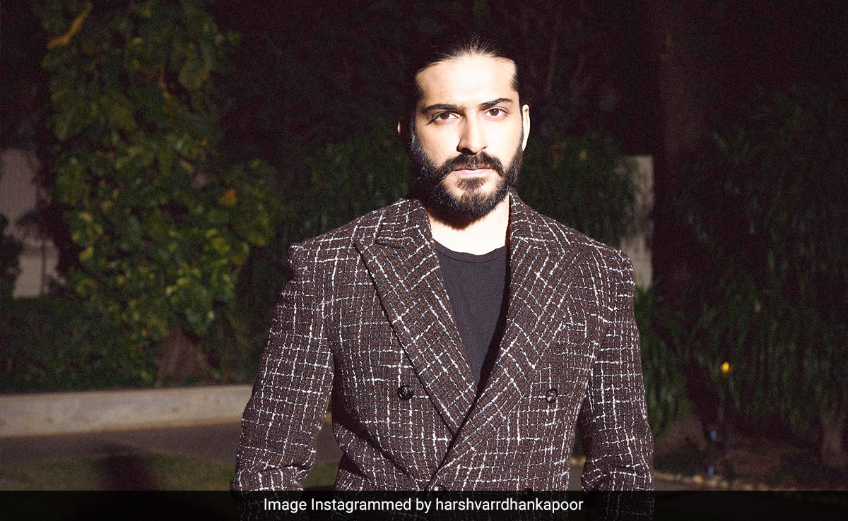 Harsh Varrdhan Kapoor, Trolled For "Stop Wearing Fake Sneakers" Comment, Writes This
