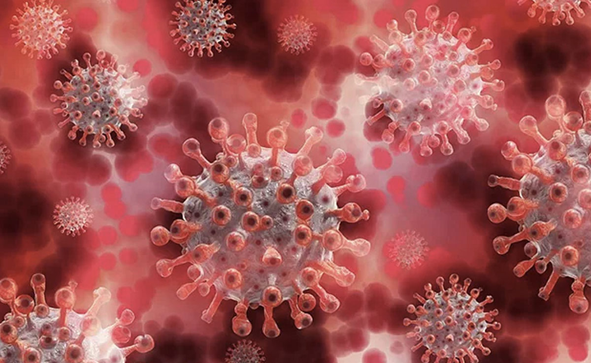 Is This The Answer To "Disease X"? Scientists Identify Crucial Prevention Strategy