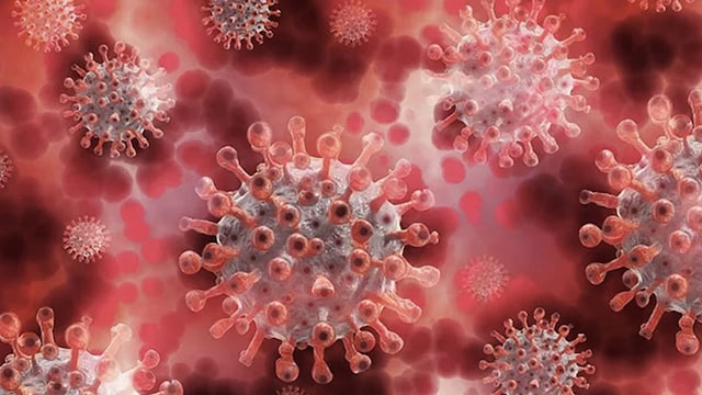 Here Is All You Need To Know About The Mysterious "Disease X" Outbreak