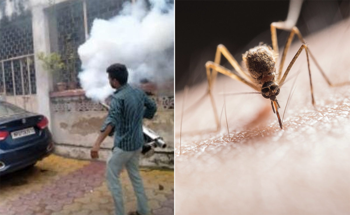 ग्वालियर में डेंगू का डंक हुआ और भी खतरनाक, आधे सितंबर में मिले 106 नए मरीज 