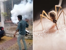 Rise in Dengue Cases: बरसात में एक बार फिर तेजी से फैल रहा है डेंगू, संक्रमण से बचने के लिए करें ये उपाय Rise in Dengue Cases: बरसात में एक बार फिर तेजी से फैल रहा है डेंगू, संक्रमण से बचने के लिए करें ये उपाय