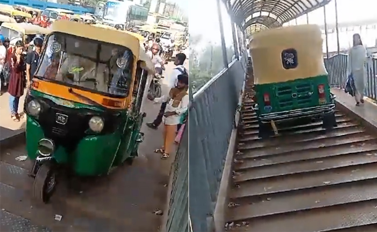 Video: Auto Driver Rides On Foot Over Bridge To Escape Traffic In Delhi, Arrested