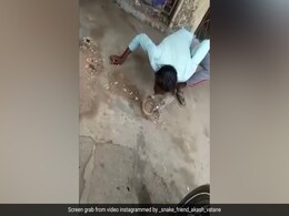 सांप को कर रहा था Kiss, अचानक सांप ने शख्स के मुंह पर किया अटैक, चीख पड़ा शख्स, Video रोंगटे खड़े कर देगा सांप को कर रहा था Kiss, अचानक सांप ने शख्स के मुंह पर किया अटैक, चीख पड़ा शख्स, Video रोंगटे खड़े कर देगा