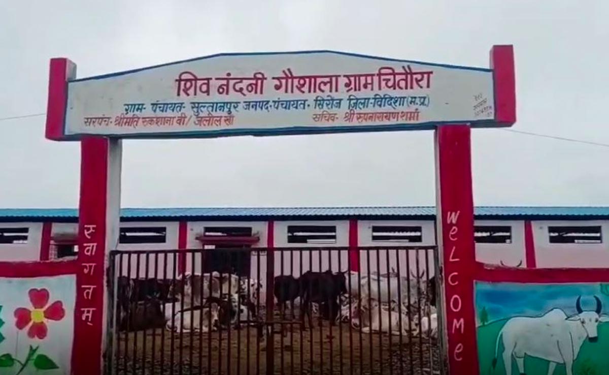 विदिशा : सिरोंज में दर्जन भर गायों की भुखमरी से हुई मौत, गौशाला अध्यक्ष के लिए यह आम बात