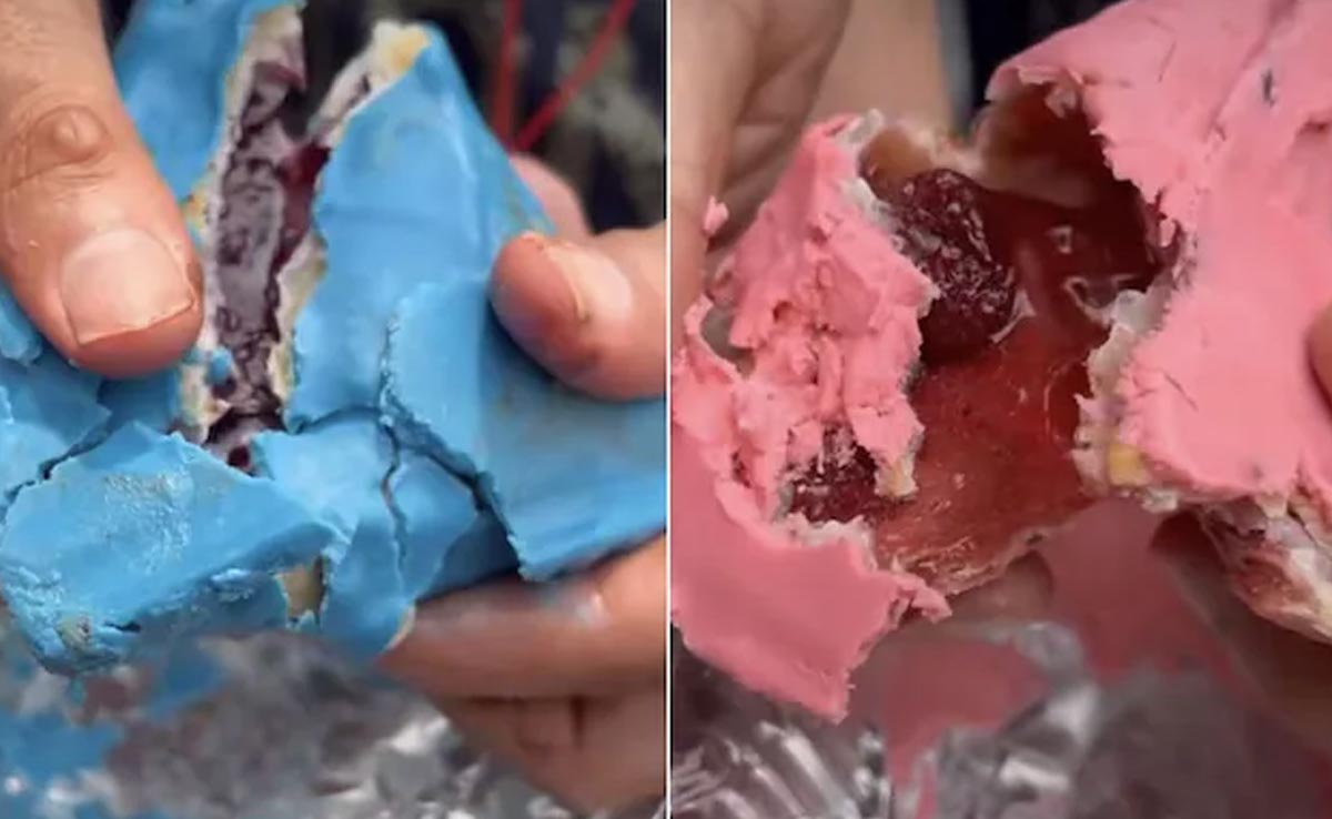 स्ट्राबेरी और ब्लूबेरी समोसे को देख सदमे में पहुंची जनता, कहा- भाई ज़हर वाला बाकी रह गया है