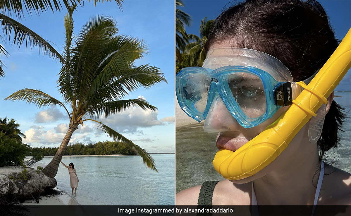 Alexandra Daddario's Beach Vacation To Puerto Rico's Gilligan's Island Is Straight Out Of A Movie