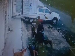 पेड़ काटने के विवाद को लेकर तीन लोगों ने 70 साल के बुजुर्ग को बेरहमी से पीटा पेड़ काटने के विवाद को लेकर तीन लोगों ने 70 साल के बुजुर्ग को बेरहमी से पीटा