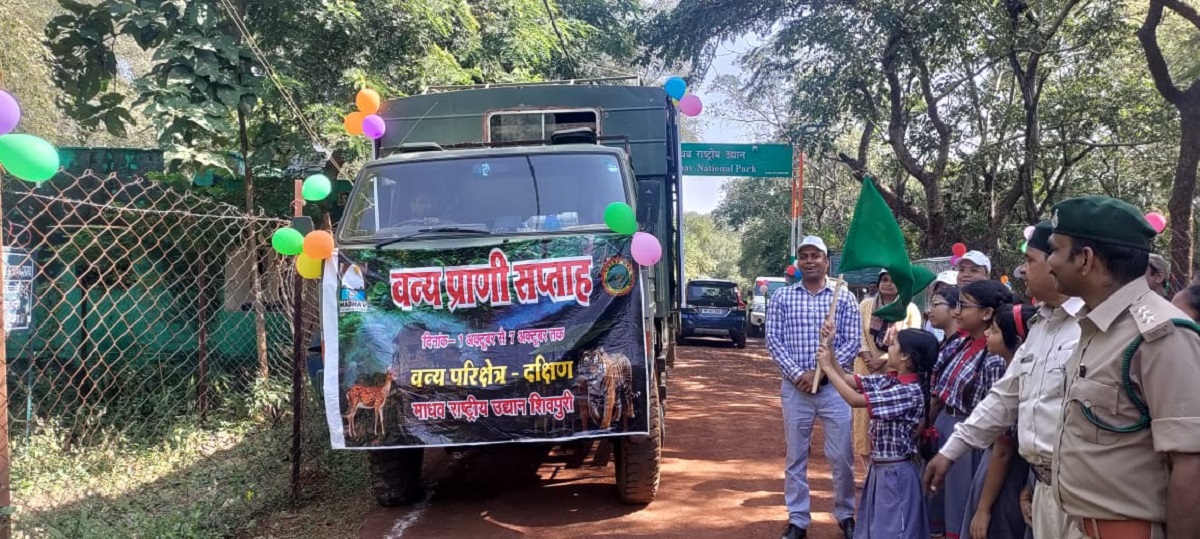 Wildlife Week : शिवपुरी को मिली सौगात, माधव नेशनल पार्क में जल्द शुरु होगी टाइगर सफारी