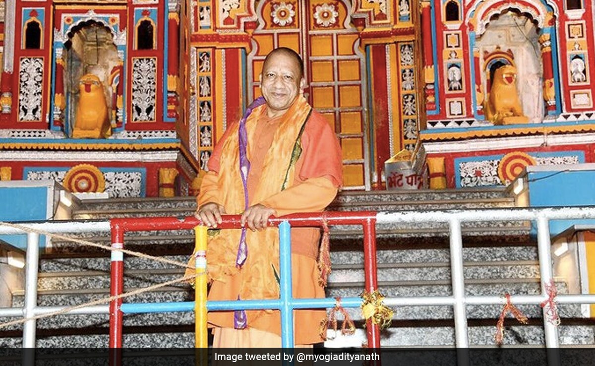 योगी सरकार ने आवारा पशुओं के रख रखाव के लिए जारी की 16,66,64 लाख रुपये की धनराशी