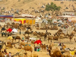 Pushkar Mela 2023: विश्व विख्यात अन्तर्राष्ट्रीय पुष्कर मेला में की गई कटौती, 15 दिन की बजाए अब 7 दिन ही होगा आयोजन Pushkar Mela 2023: विश्व विख्यात अन्तर्राष्ट्रीय पुष्कर मेला में की गई कटौती, 15 दिन की बजाए अब 7 दिन ही होगा आयोजन