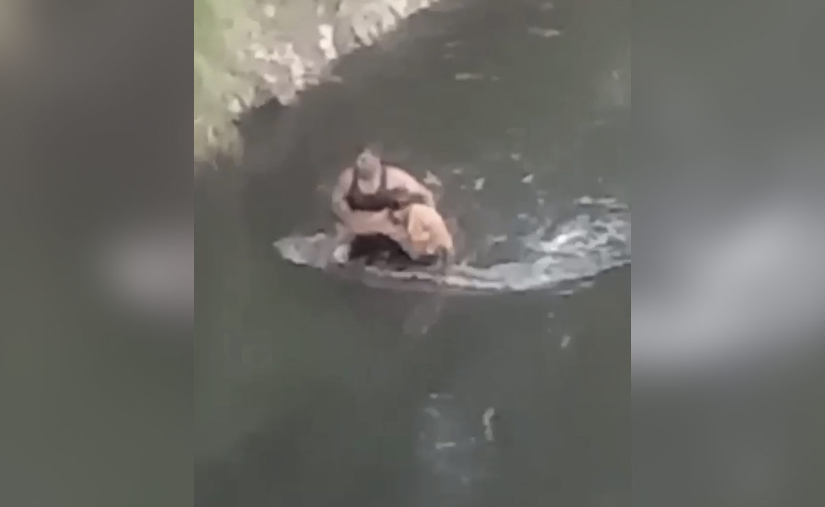 Video: Man Jumps Into Canal, Rescued By Alert UP Cop