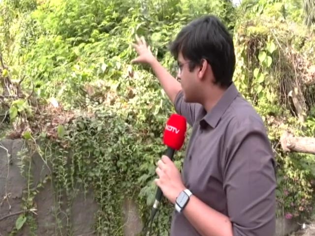 Foliage, Tree Cover Home Of Nithari Killings Co-Accused Set To Walk Free