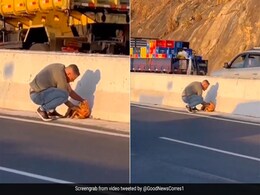 ट्रैफिक के बीच फंस गया कुत्ता, देखते ही बचाने के लिए दौड़ा शख्स, फिर किया कुछ ऐसा, Video दिल जीत लेगा ट्रैफिक के बीच फंस गया कुत्ता, देखते ही बचाने के लिए दौड़ा शख्स, फिर किया कुछ ऐसा, Video दिल जीत लेगा