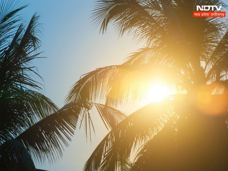 Weather News : 11 साल में तीसरी बार नवंबर में दिन का तापमान इतना ज्यादा रहा, ठंड का अभी करना होगा इंतजार