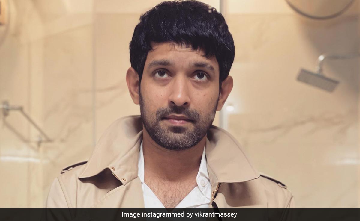Vikrant Massey On Restarting In Industry: "I Was Doing Menial Bits, Felt Underutilised"
