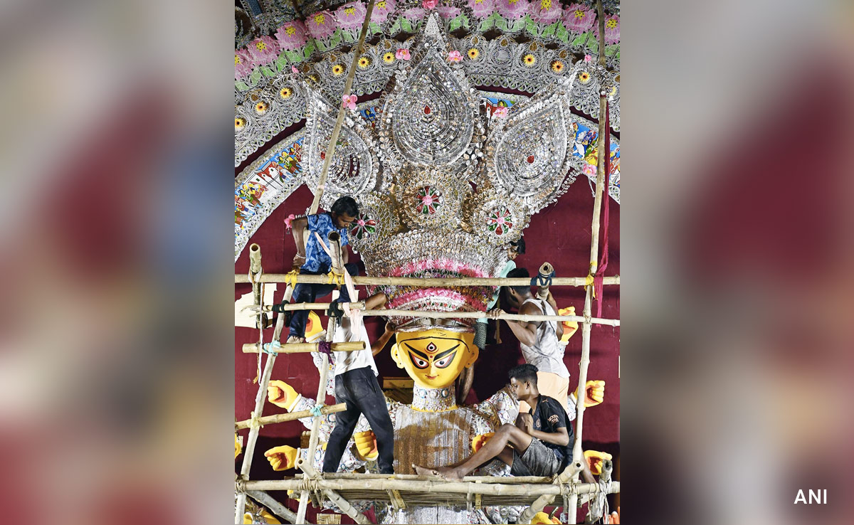 Kolkata Dura Puja Committees Focus On Social Issues To Spread Awareness