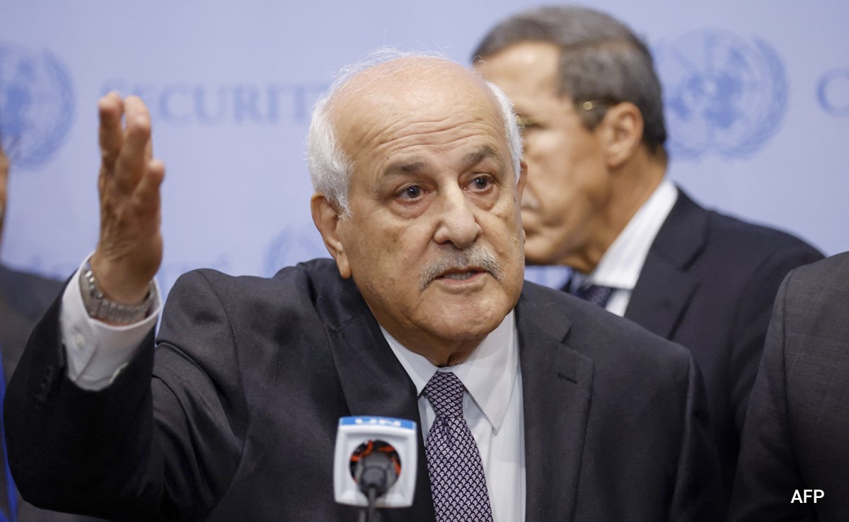 "Killing More Palestinians Will Never Make Israel...": Palestinian Envoy