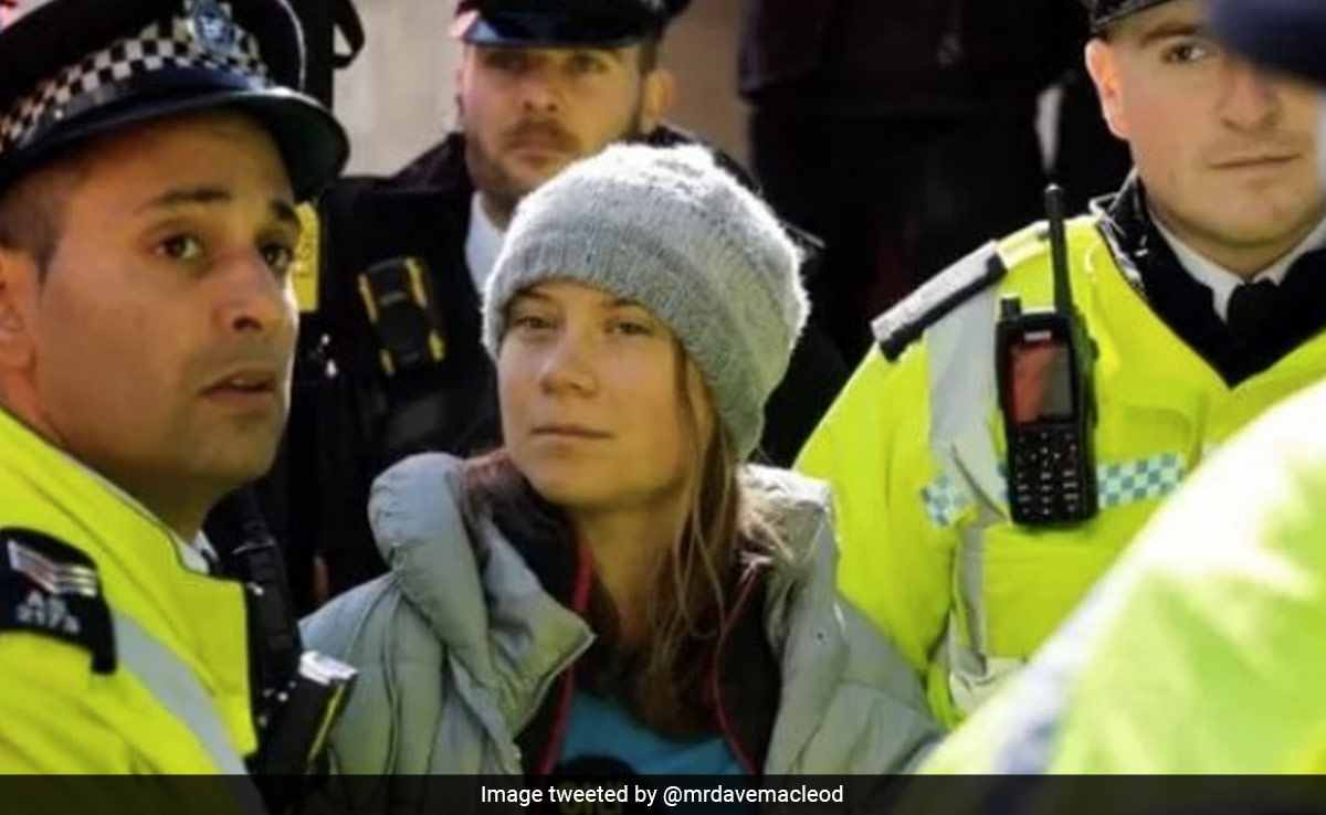 Greta Thunberg Charged With Public Order Offence After London Climate Protest