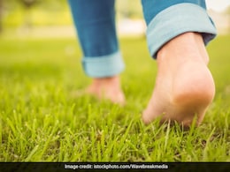 लंबा जीने के लिए हर दिन कितने कदम चलना है जरूरी, यहां जानिए क्या होते हैं इसके फायदे लंबा जीने के लिए हर दिन कितने कदम चलना है जरूरी, यहां जानिए क्या होते हैं इसके फायदे