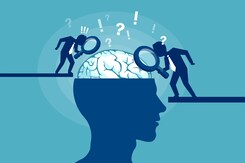 World Stroke Day 2023: ब्रेन स्टोक में पहले छह घंटे होते हैं अहम, समय से इलाज न मिलने पर कई अंग हो सकते हैं डैमेज World Stroke Day 2023: ब्रेन स्टोक में पहले छह घंटे होते हैं अहम, समय से इलाज न मिलने पर कई अंग हो सकते हैं डैमेज