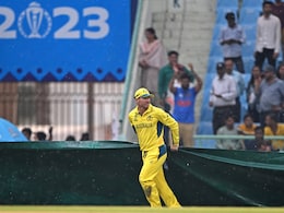 Watch: David Warner Helps Groundstaff In Covering Pitch During Rain, Wins Hearts During Cricket World Cup 2023 Game