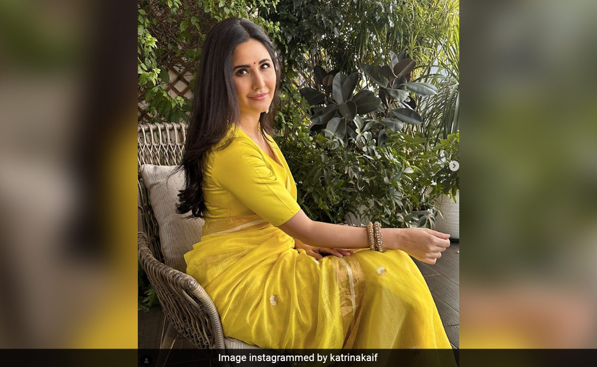Katrina Kaif's Saree Pics Get Big Love From Alia Bhatt: "So Beautiful Katy"