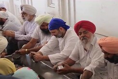 राहुल गांधी ने अमृतसर के स्वर्ण मंदिर का दौरा किया, सेवा की राहुल गांधी ने अमृतसर के स्वर्ण मंदिर का दौरा किया, सेवा की