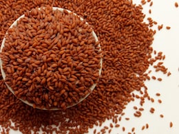 हलीम बीज खाने के इन फायदों के बारे में जानने के बाद आप भी कर लेंगे डाइट में शामिल हलीम बीज खाने के इन फायदों के बारे में जानने के बाद आप भी कर लेंगे डाइट में शामिल