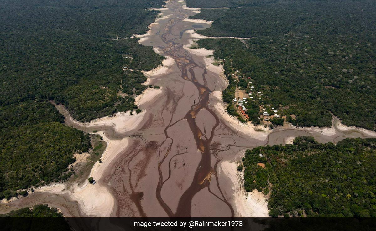 Viral: Before And After Pics Reveal River In Amazon Drying Up
