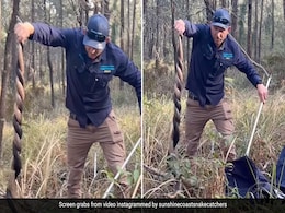 नंगे हाथों से शख्स ने एकसाथ पकड़े दो खतरनाक सांप, लिपटे हुए सांपों को लटकाकर किया कुछ ऐसा, खड़े हो जाएंगे रोंगटे नंगे हाथों से शख्स ने एकसाथ पकड़े दो खतरनाक सांप, लिपटे हुए सांपों को लटकाकर किया कुछ ऐसा, खड़े हो जाएंगे रोंगटे