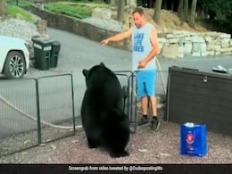 बिना बुलाए पार्टी का लुत्फ उठाने आ गया था भालू, गुस्से में शख्स ने कहा- तुम्हे तो Invite भी नहीं किया था? बिना बुलाए पार्टी का लुत्फ उठाने आ गया था भालू, गुस्से में शख्स ने कहा- तुम्हे तो Invite भी नहीं किया था?