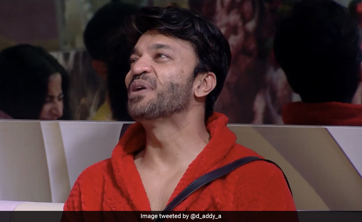 <i>Bigg Boss 17</i>: Inside Vicky Jain And Aishwarya Sharma's Bickering