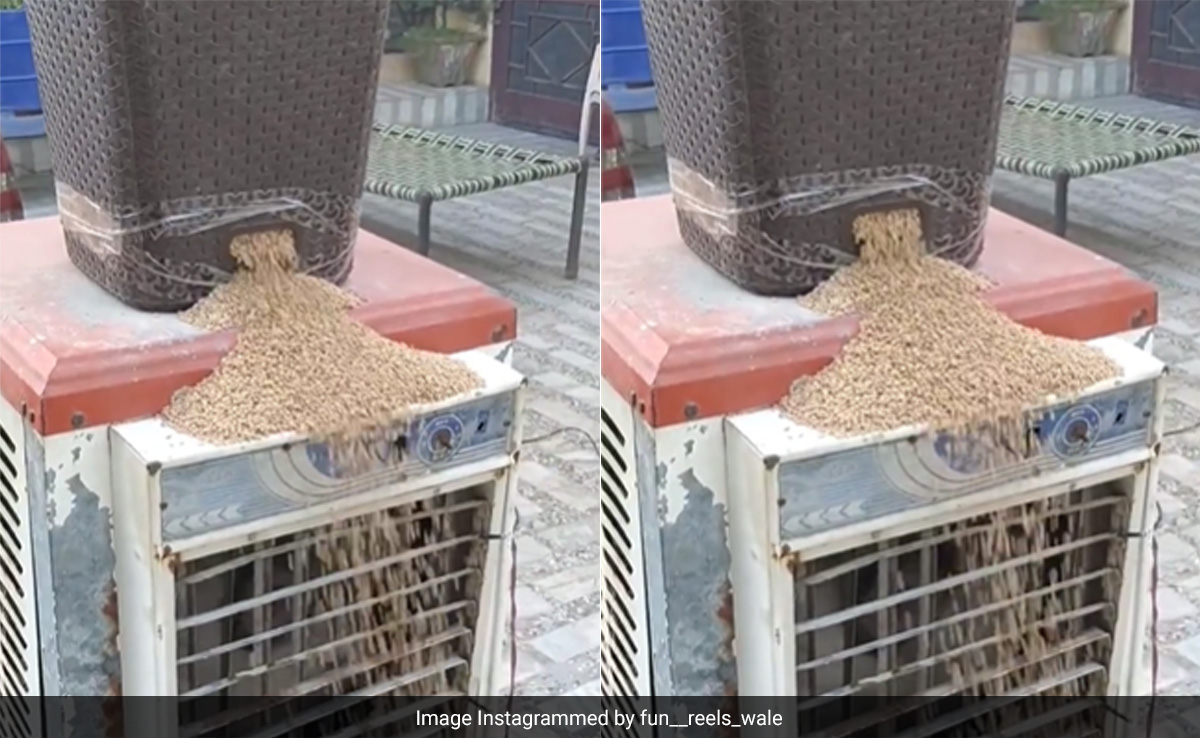 गेंहू साफ करने के लिए घर पर किया देसी जुगाड़, कूलर और प्लास्टिक स्टूल से बना डाली ये मशीन