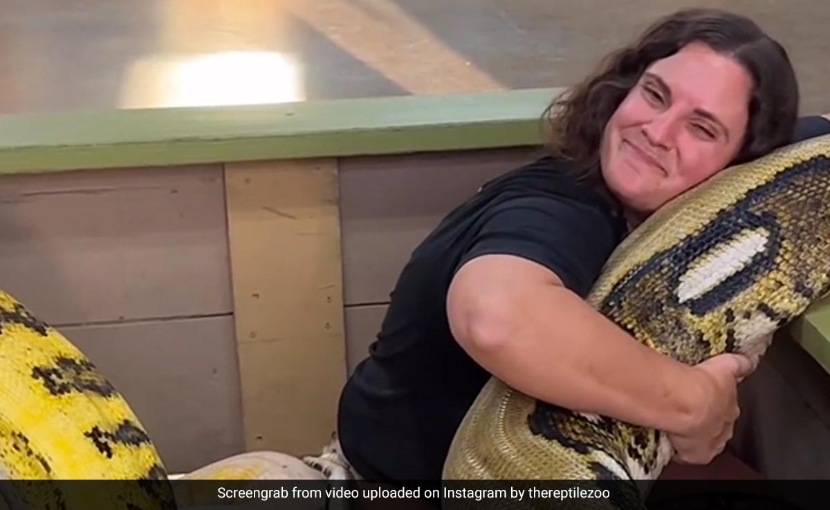 Video Of Woman Cuddling Huge Pythons Shocks Internet: "Nightmare Fuel"